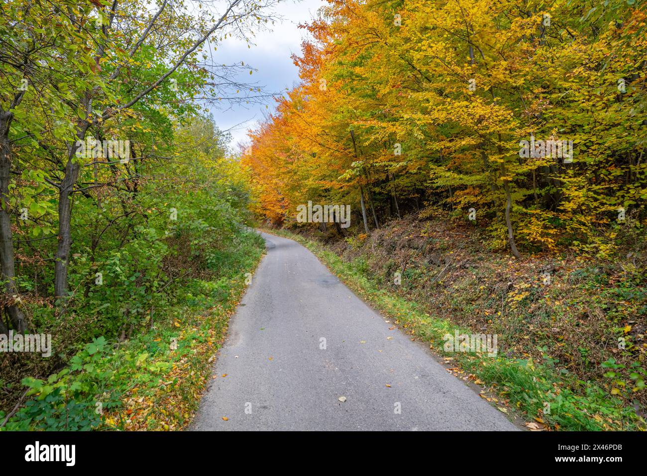 Una strada tra le montagne dell'isola Beskids in Polonia Foto Stock