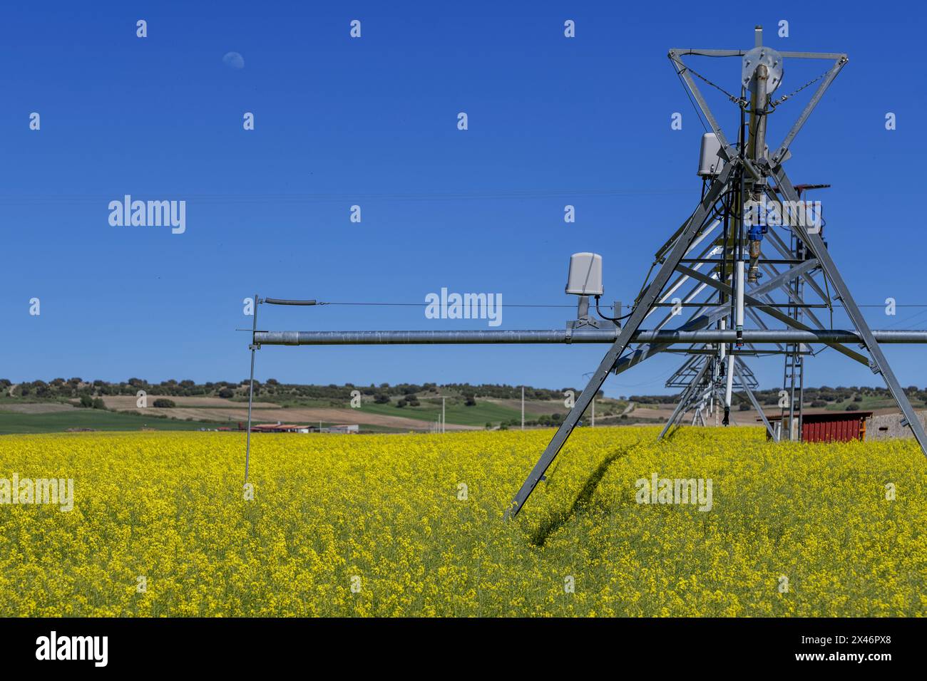 Un sistema di irrigazione lineare è un metodo meccanizzato di erogazione dell'acqua alle colture in linea retta. È particolarmente adatto per applicazioni rettangolari o acquose Foto Stock