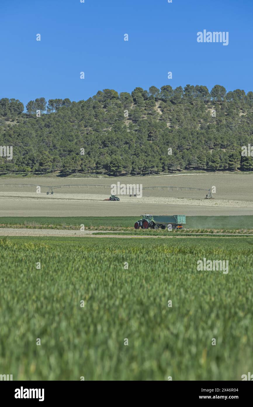 I sistemi lineari meccanizzati richiedono molto meno lavoro manuale rispetto ai metodi di irrigazione ad alluvione, laminazione ad ala e movimento manuale Foto Stock