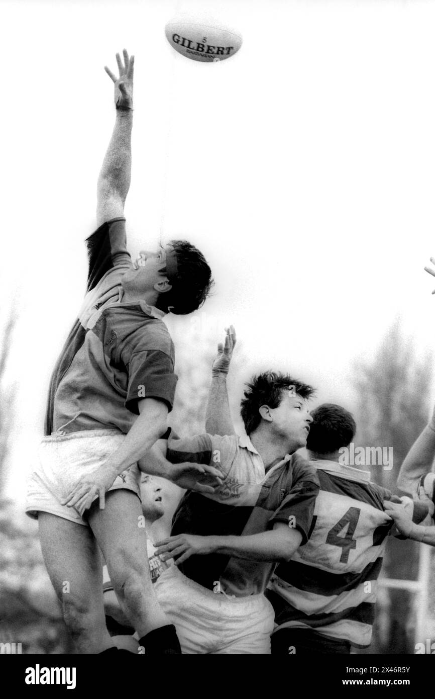 Harlequins rugby club 2a fila giocatore compete per il pallone ad una line-out durante la partita di Pilkington Cup contro Nottingham, 1993 Foto Stock