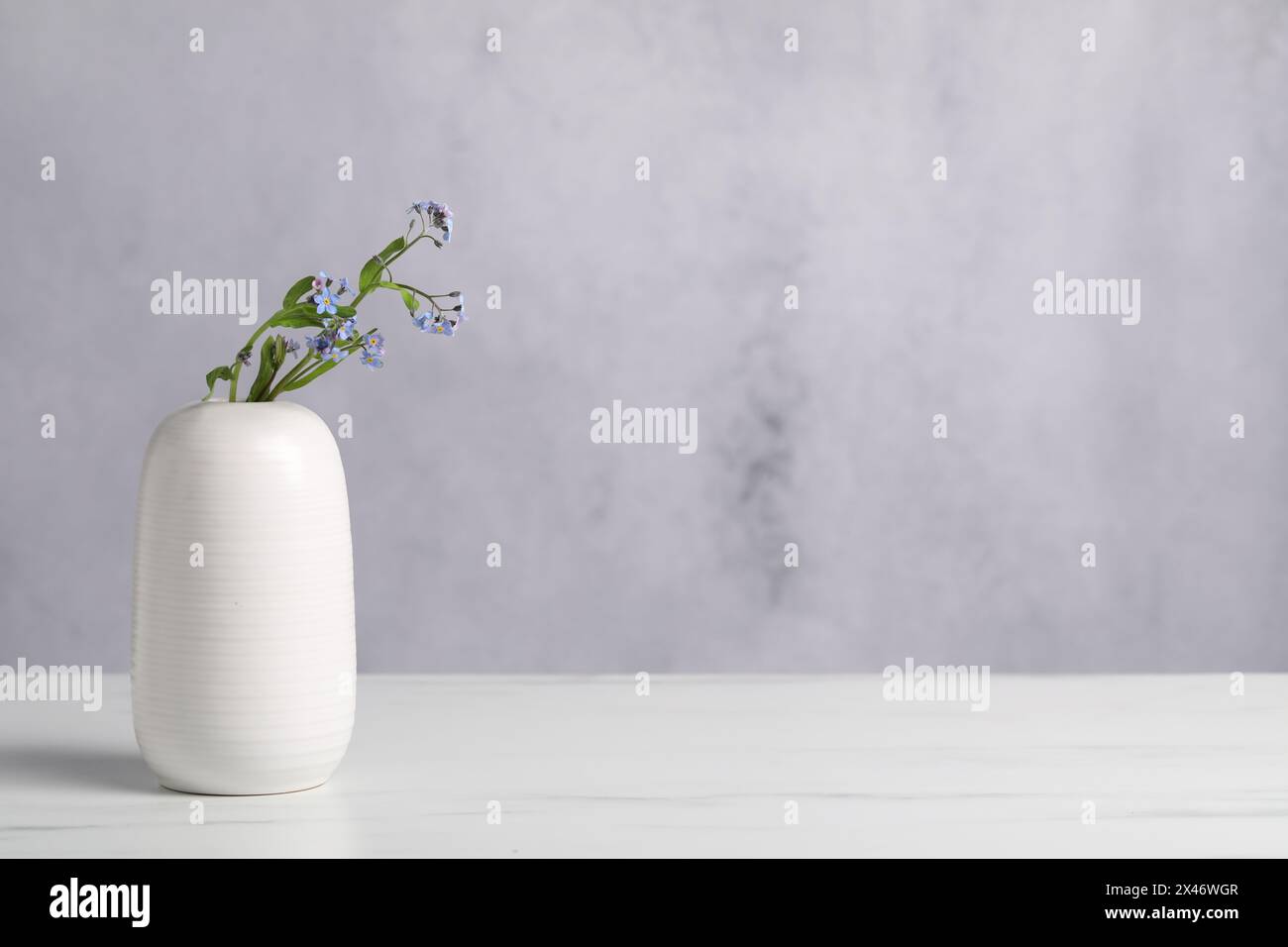 Bellissimi fiori in vaso sul tavolo di marmo bianco. Spazio per il testo Foto Stock