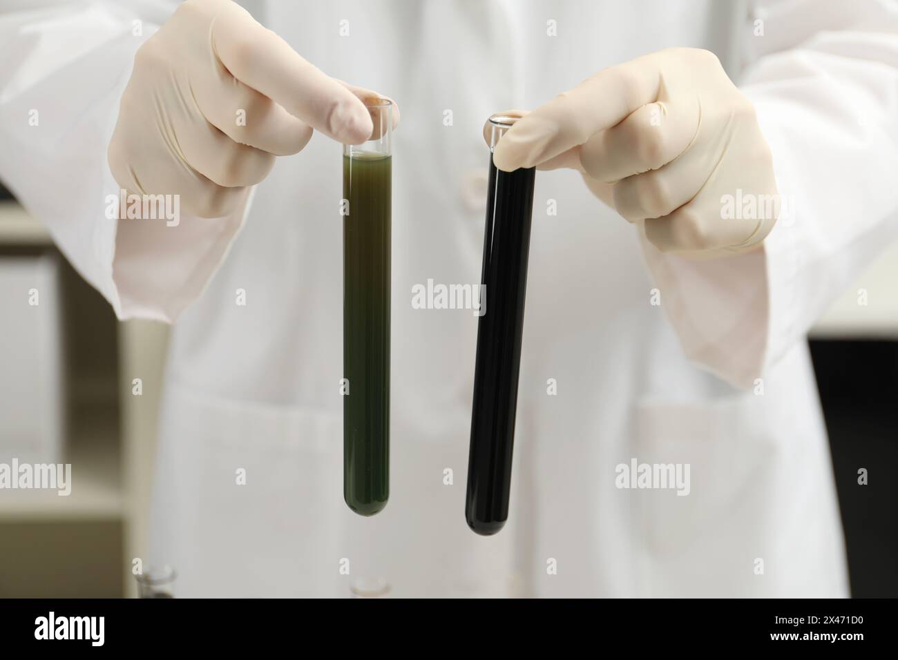 Operaio di laboratorio che tiene in mano provette per analisi con olio grezzo, primo piano Foto Stock