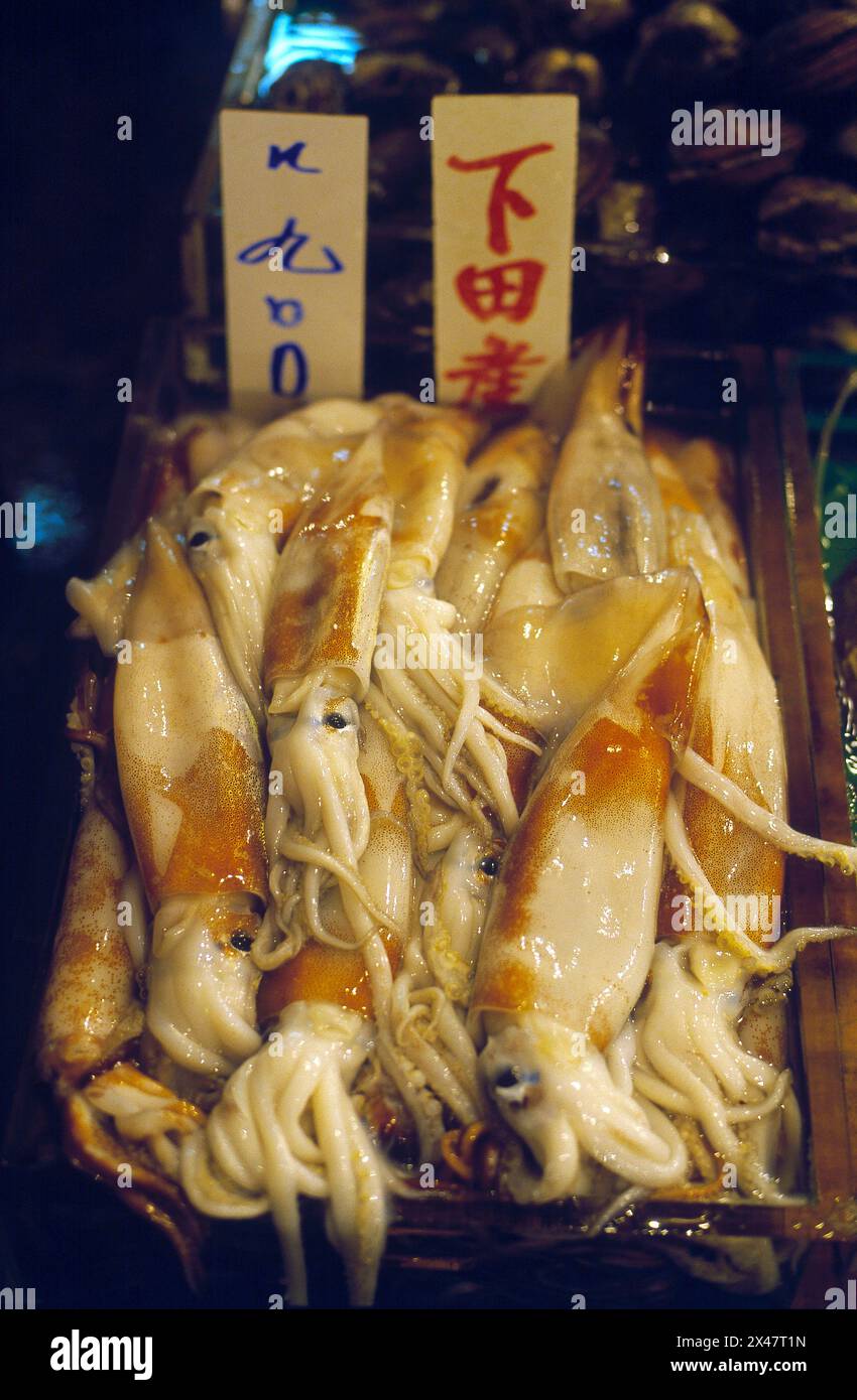 Calamari in vassoi, presi nel 1996, mercato del pesce di Tsukiji, Tokyo, Giappone Foto Stock