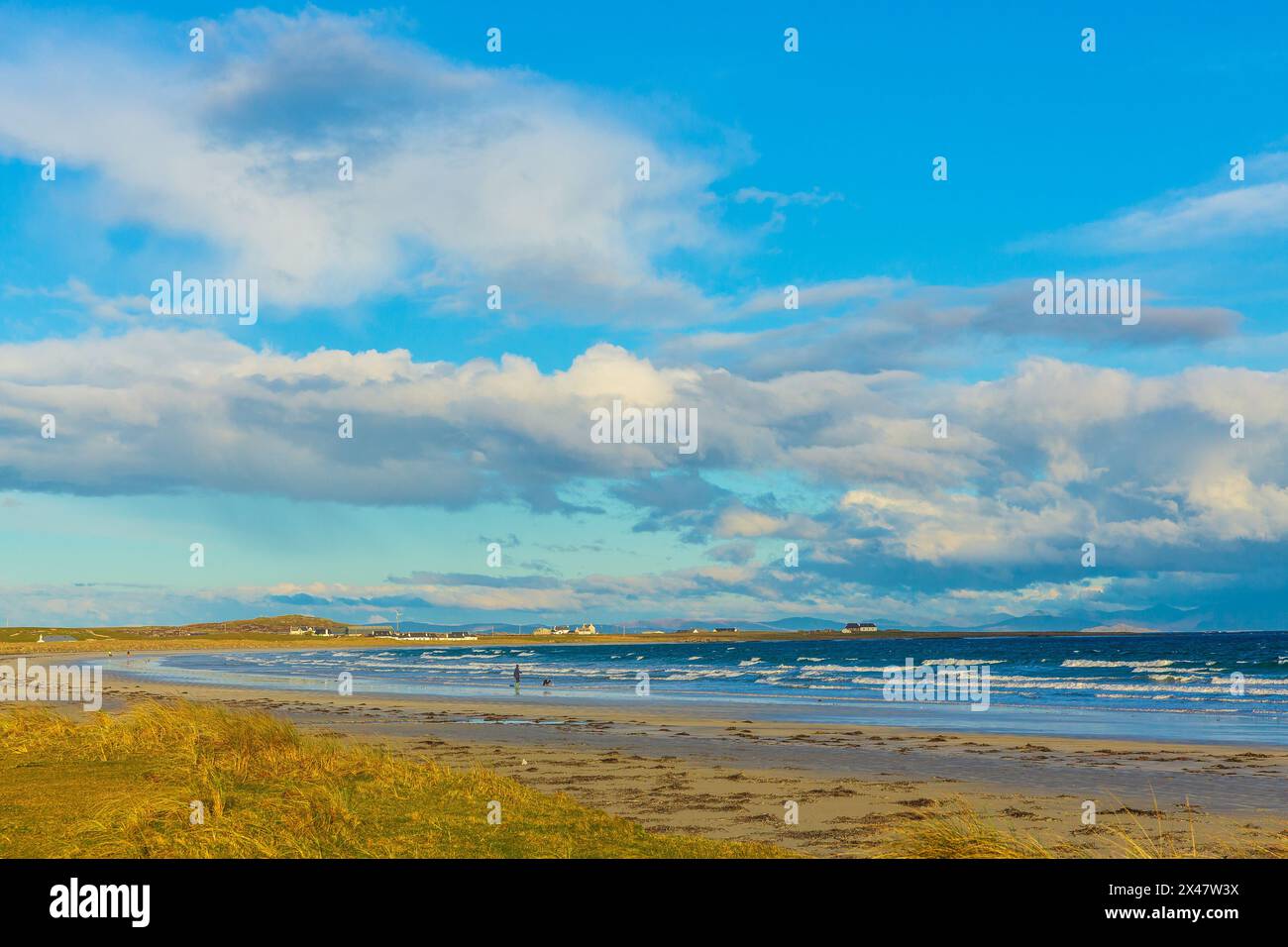 Gott Bay, Isola di Tiree, Ebridi interne, Scozia in primavera con cottage imbiancati, cielo blu, macchia e mare discontinuo. Hoirzontal (Hoirzontal). Spazio per Foto Stock