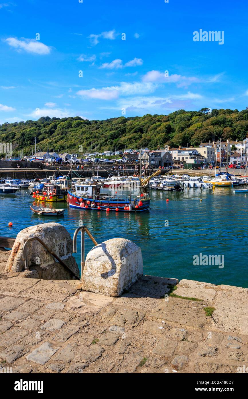 Una collezione di attraenti e colorati pescherecci e imbarcazioni da diporto nel porto di Lyme Regis, Jurassic Coast, Dorset, Inghilterra, Regno Unito Foto Stock