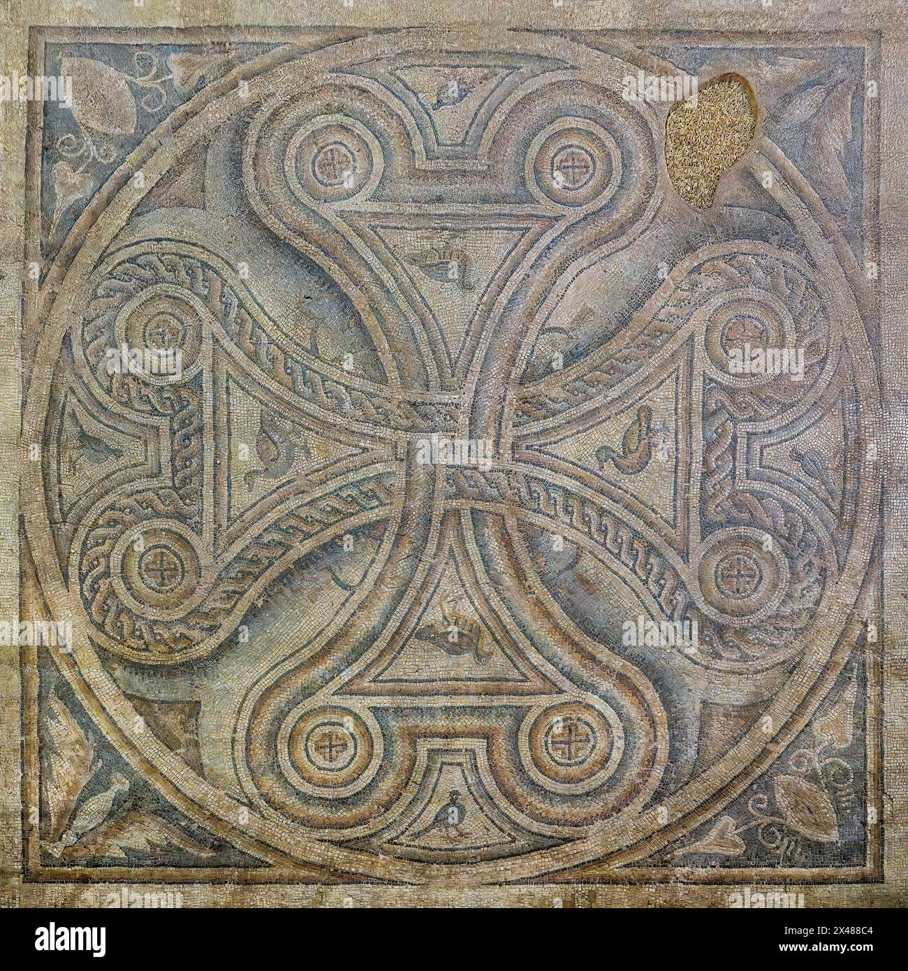 Mosaico Menderes, Museo del mosaico Zeugma, Gaziantep, Turchia Foto Stock