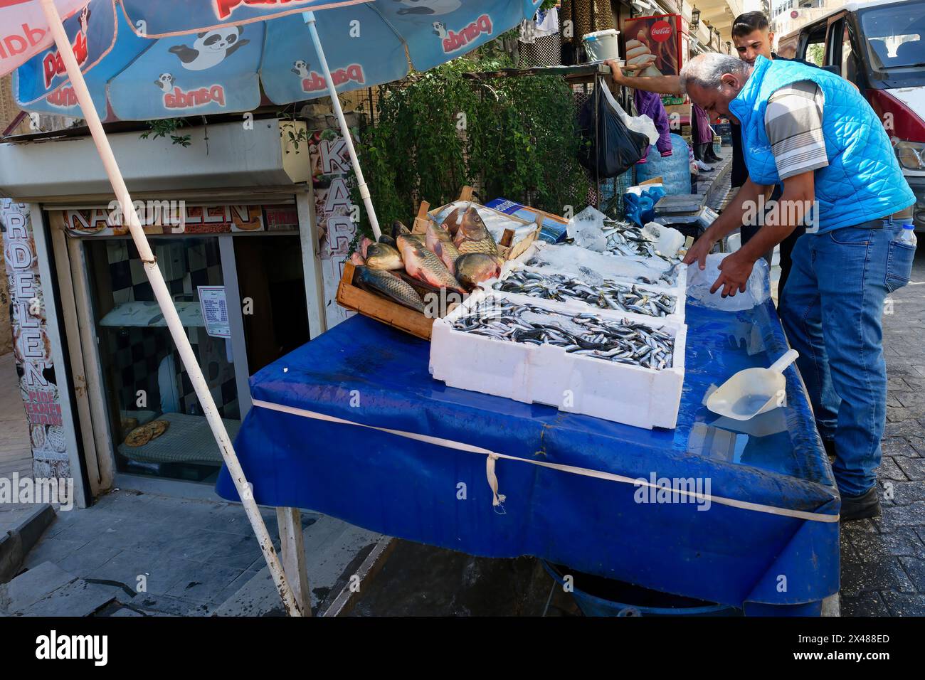 Bancarelle di pesce, bazar Mardin, tacchino Foto Stock