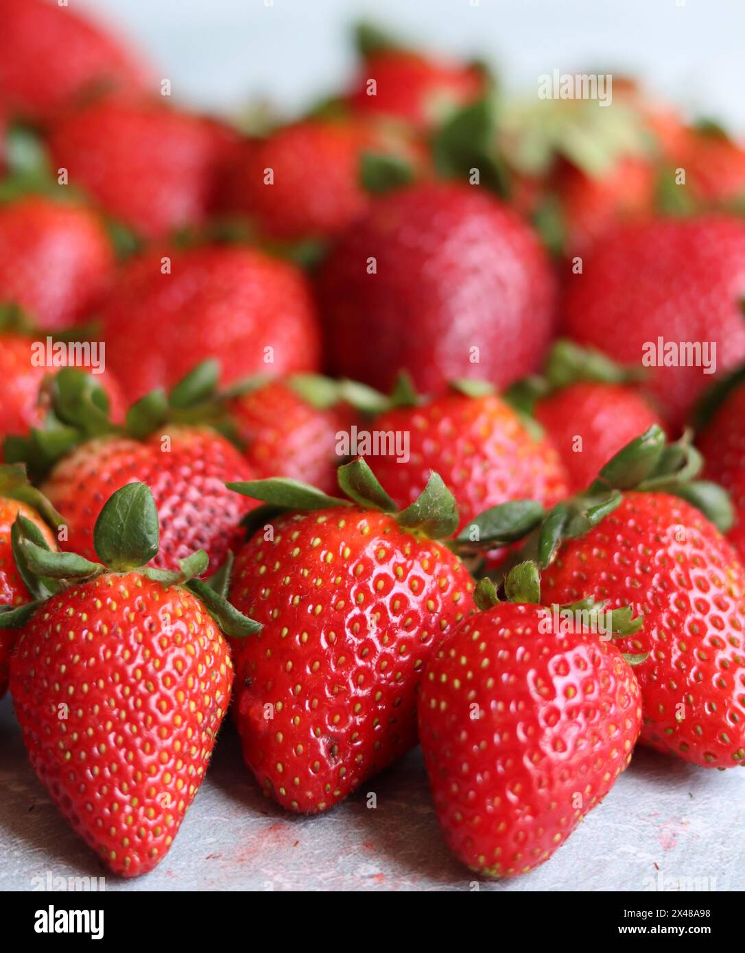 Sfondo fragola. Foto ravvicinata di succose bacche biologiche. Consistenza di frutta estiva. Fragole fresche dall'alto che riempiono il telaio Foto Stock