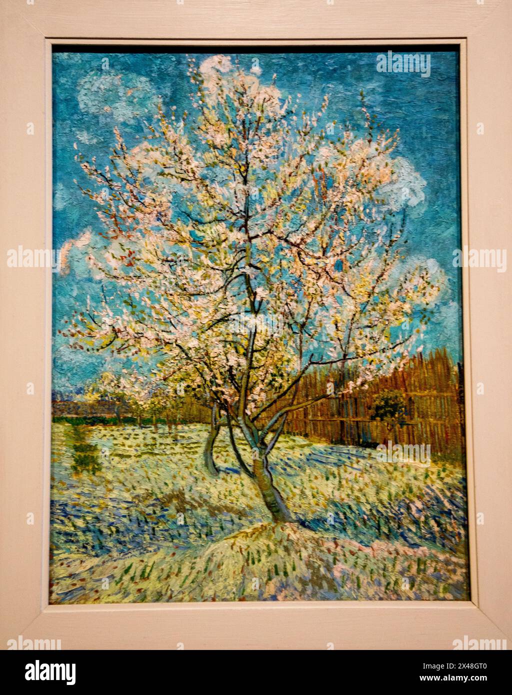 Quadri Rosa Dipinto Di Rosa Orchard, 1888. Di Vincent Van Gogh. Olio Su  Tela Parte Di Un Trittico Di Orchard Dipinti Da Van Gogh 57304956 Quadro Di  Cotone Su Tela, image size:1024x1390