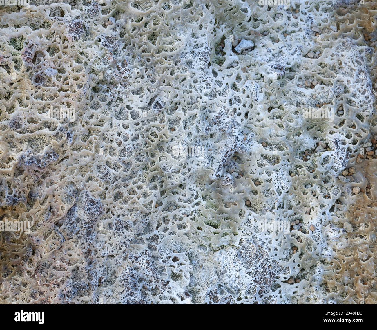 Depositi di calcite vescicolosa in un flusso lento ricco di calcio nella cava di Herbert nel Brecon Bracons Galles del Sud Regno Unito Foto Stock