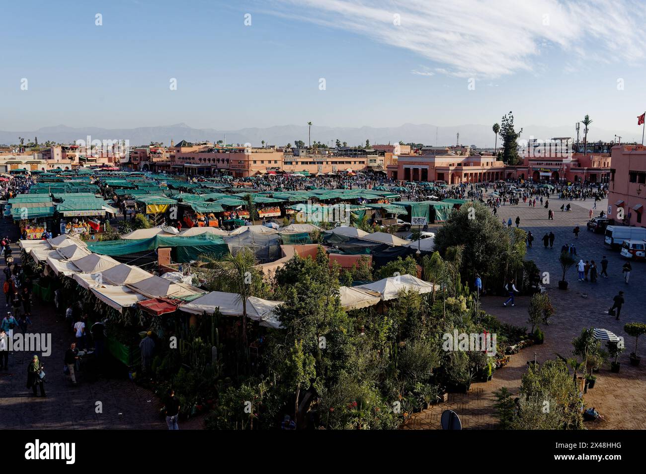 Dall'alto, piazza Jemaa el-Fnaa, grandi alberi sorgono in primo piano del vivace mercato che si estende in lontananza. Foto Stock