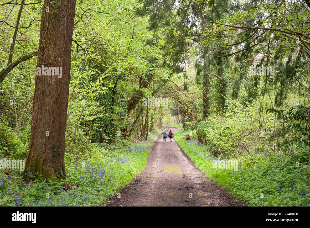 Due persone camminano lungo un ponte attraverso alberi verdi a maggio Foto Stock