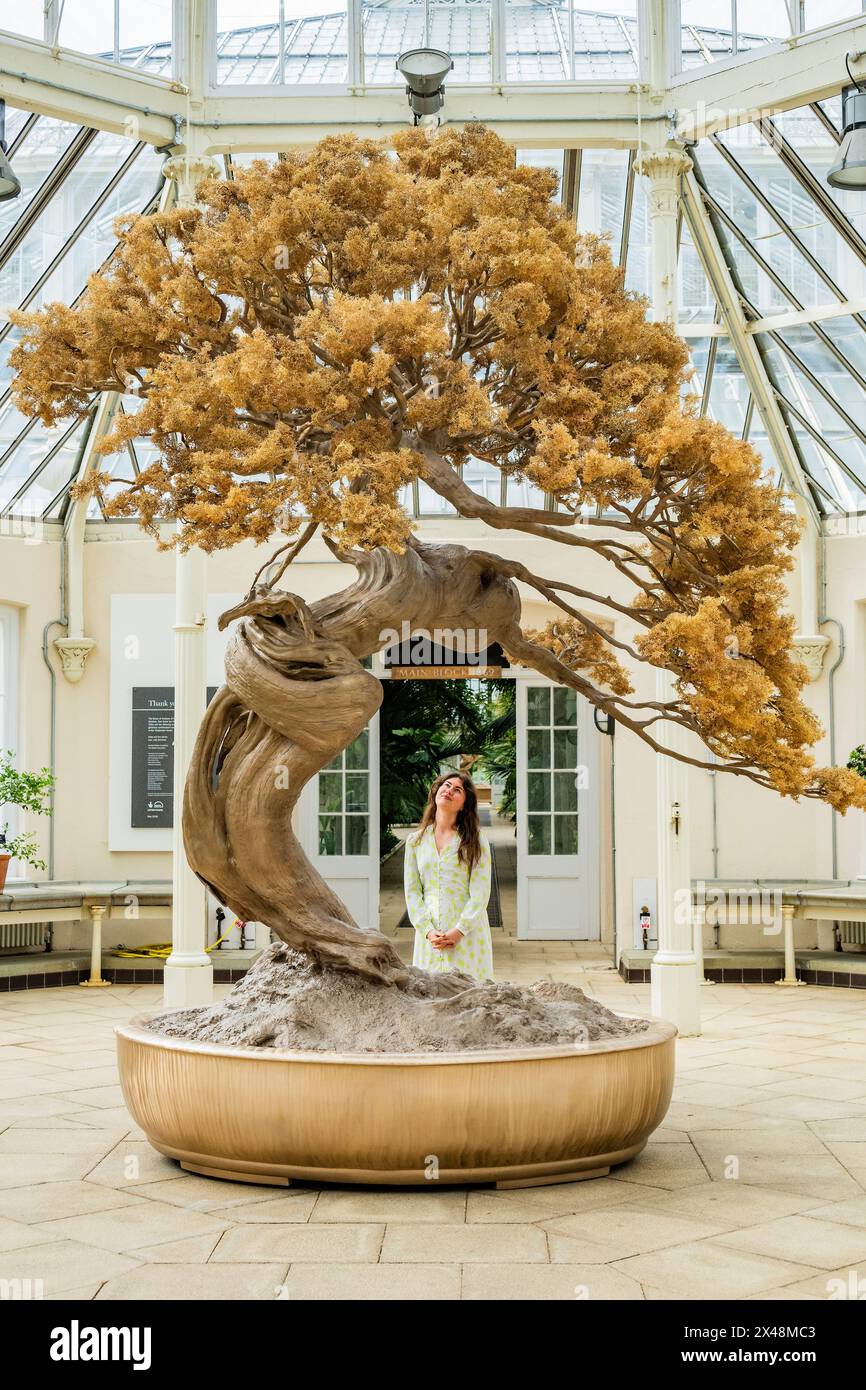 Londra, Regno Unito. 1 maggio 2024. Marc Quinn: La luce nella vita ai Kew Gardens. Una nuova mostra di opere nuove di zecca, tra cui installazioni all'aperto e sculture all'interno della Temperate House ispirata alla collezione di piante di Kew. La mostra si svolge da sabato 4 maggio a domenica 29 settembre. Crediti: Guy Bell/Alamy Live News Foto Stock