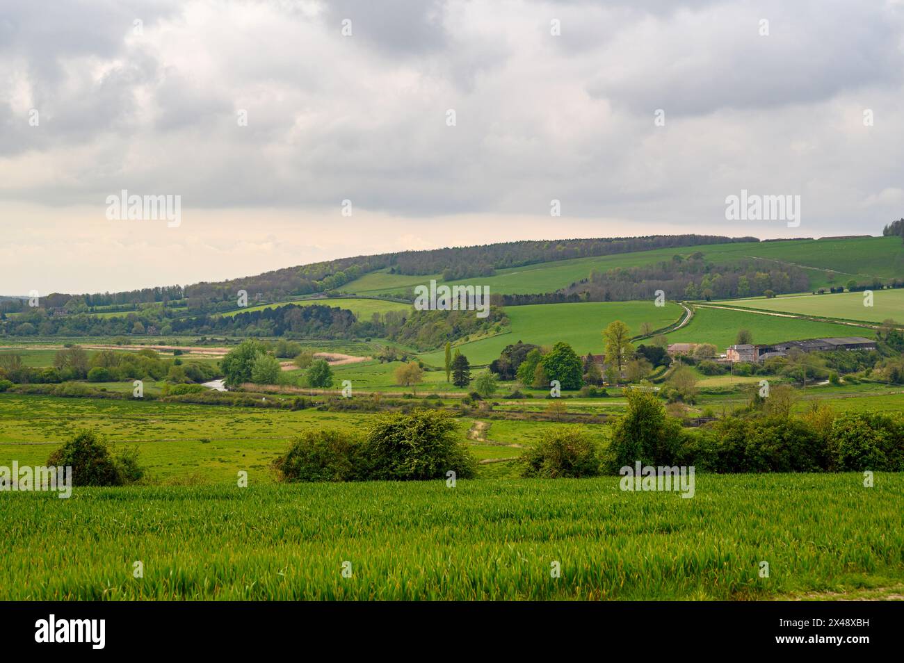 Una vista sulla valle, i campi e le colline boscose e uno scorcio del fiume Ardur vicino ad Amberley nel West Sussex, Inghilterra. Foto Stock