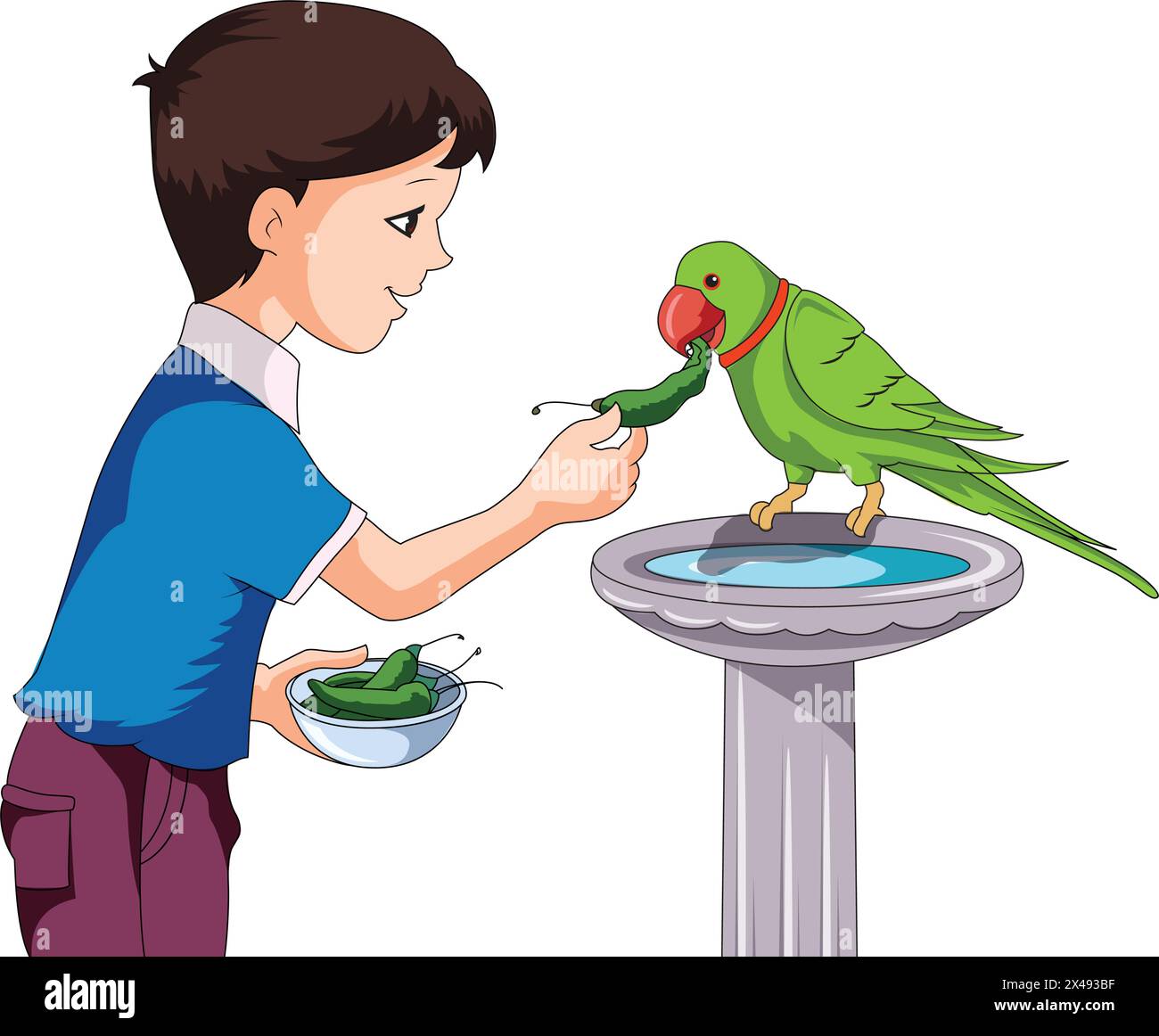 Ragazzo carino che dà da mangiare ai peperoncini verdi per pappagallo seduto su una fontana Illustrazione Vettoriale