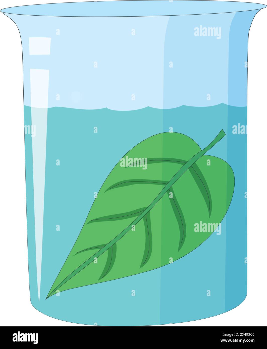 Una foglia sciolta in un vaso d'acqua Illustrazione Vettoriale