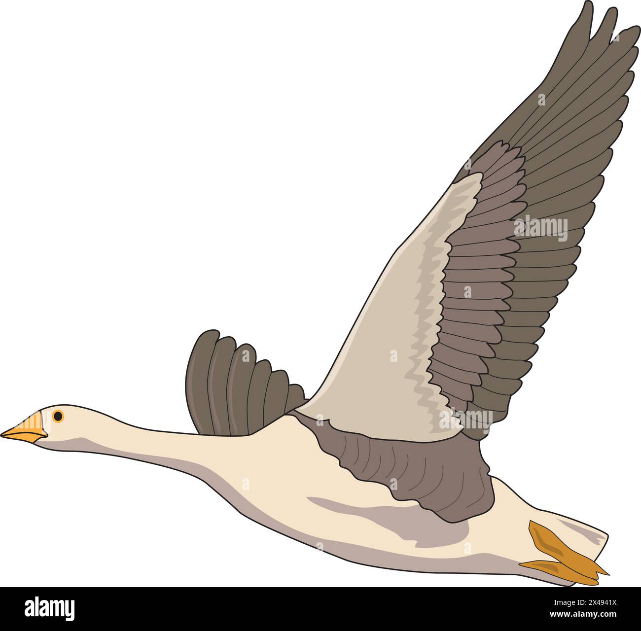 Un uccello volante con le ali spalancate Illustrazione Vettoriale
