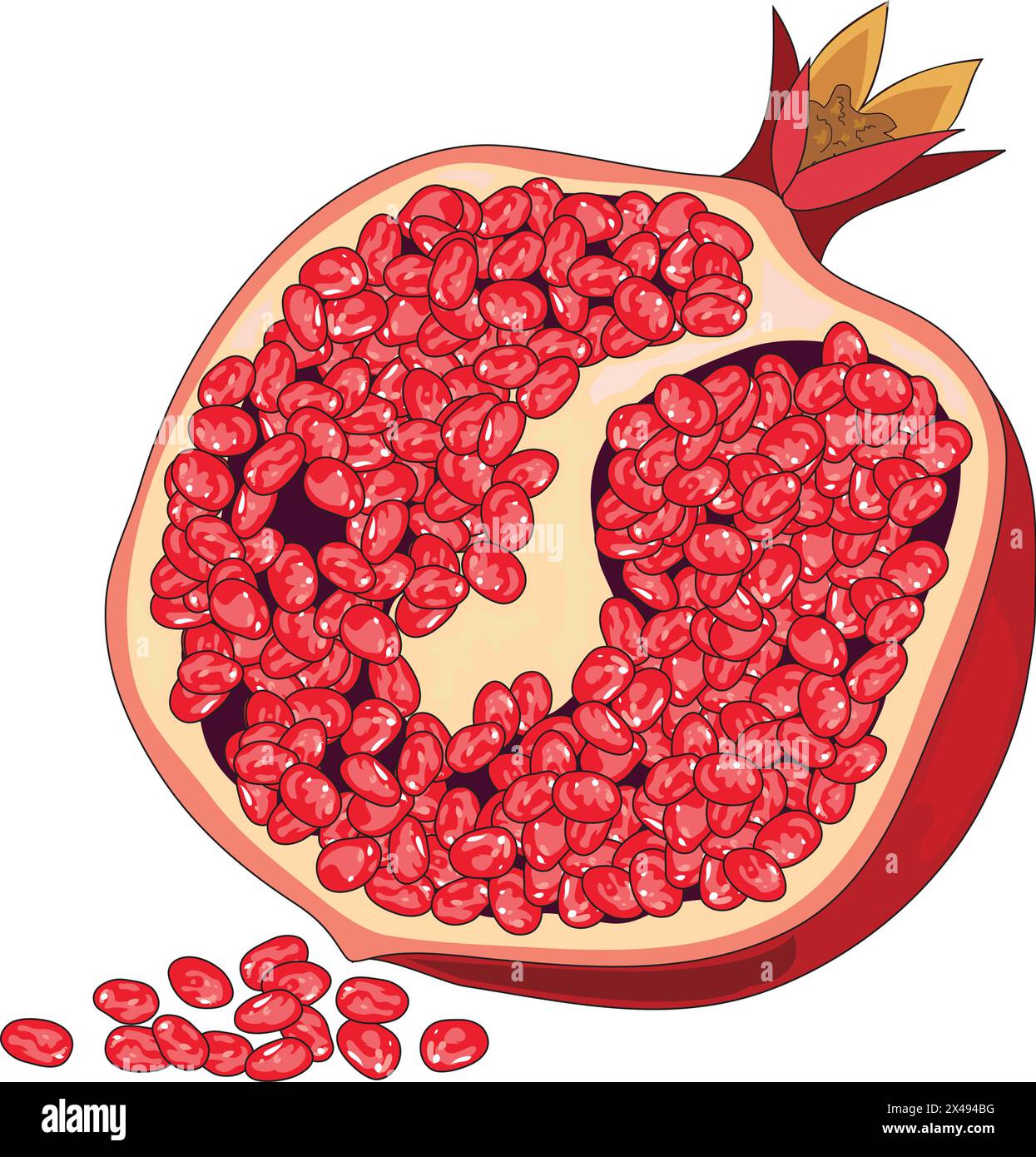 Un pezzo di melograno Illustrazione Vettoriale