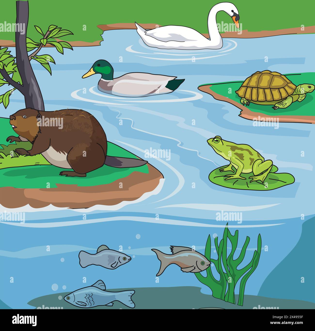 Animali come tartaruga, anatra, cigno, pesce e rana Illustrazione Vettoriale