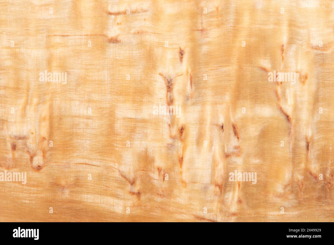 Lo sfondo con una trama di legno su una fetta marrone. Legno verniciato per creare prodotti fatti a mano Foto Stock