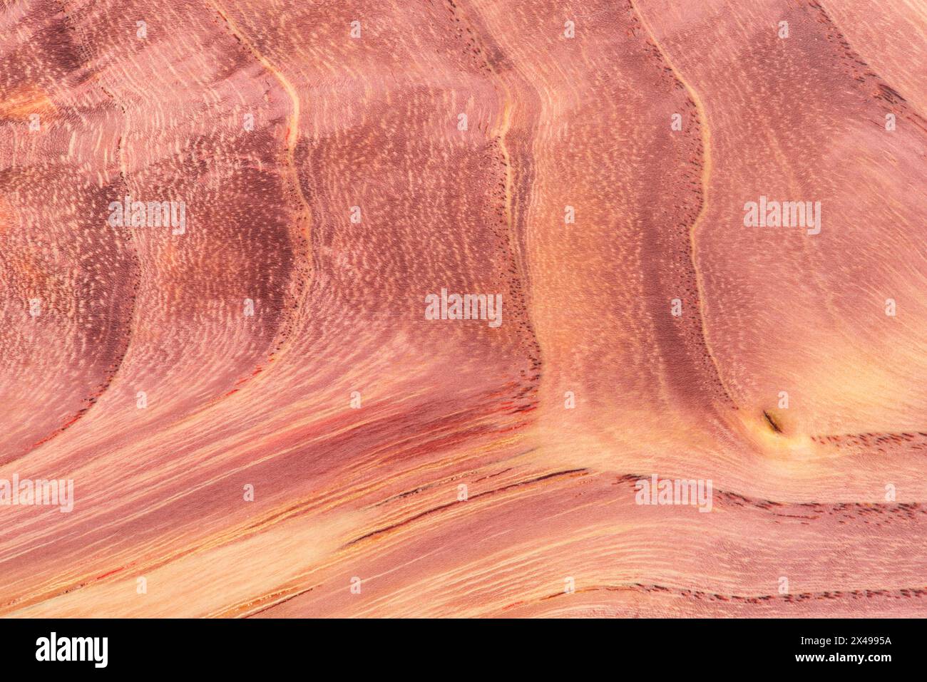 Lo sfondo con una trama di legno su una fetta marrone. Legno verniciato per creare prodotti fatti a mano Foto Stock