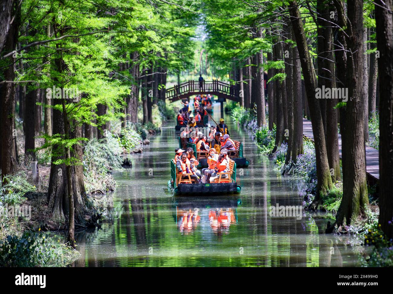 Pechino, la provincia cinese di Jiangsu. 1 maggio 2024. I turisti visitano un parco nazionale paludoso a Xinghua, nella provincia di Jiangsu, nella Cina orientale, 1° maggio 2024. Crediti: Zhou Shegen/Xinhua/Alamy Live News Foto Stock