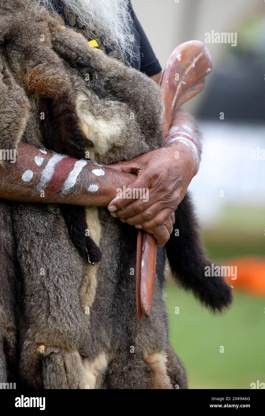 La mano umana tiene i bastoncini rituali per il rituale di benvenuto in un evento della comunità indigena in Australia Foto Stock