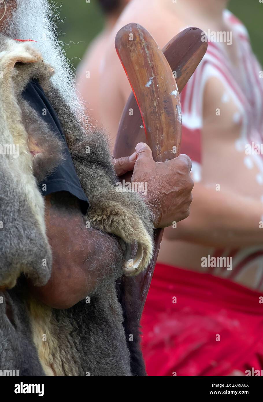 La mano umana tiene i bastoncini rituali per il rituale di benvenuto in un evento della comunità indigena in Australia Foto Stock