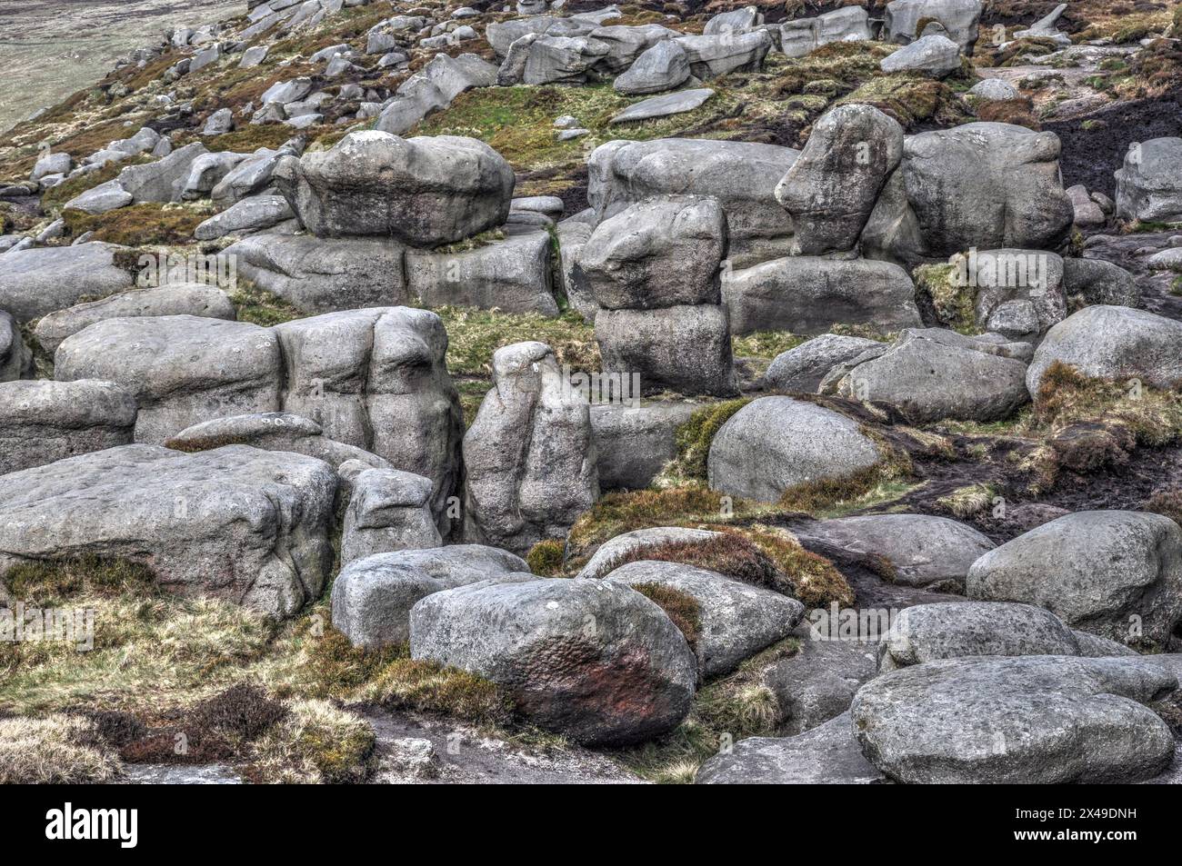 Formazioni rocciose massicce, strane ed erose nell'area conosciuta come Woolpacks on Kinder Scout, Peak District Foto Stock