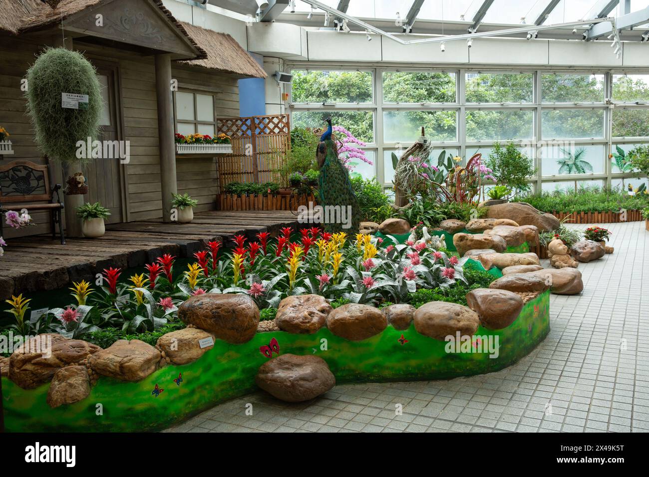 Una vista interna della display Plant House all'interno del Forsgate Conservatory nel Parco di Hong Kong. Foto Stock