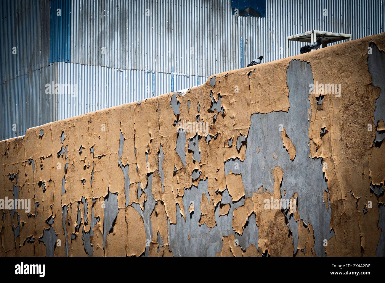 Vernice marrone chiaro, spaccata e sbucciata sulla parete di cemento dagli elementi che causano il decadimento della struttura, rivelando al contempo texture e patina intenzionali Foto Stock