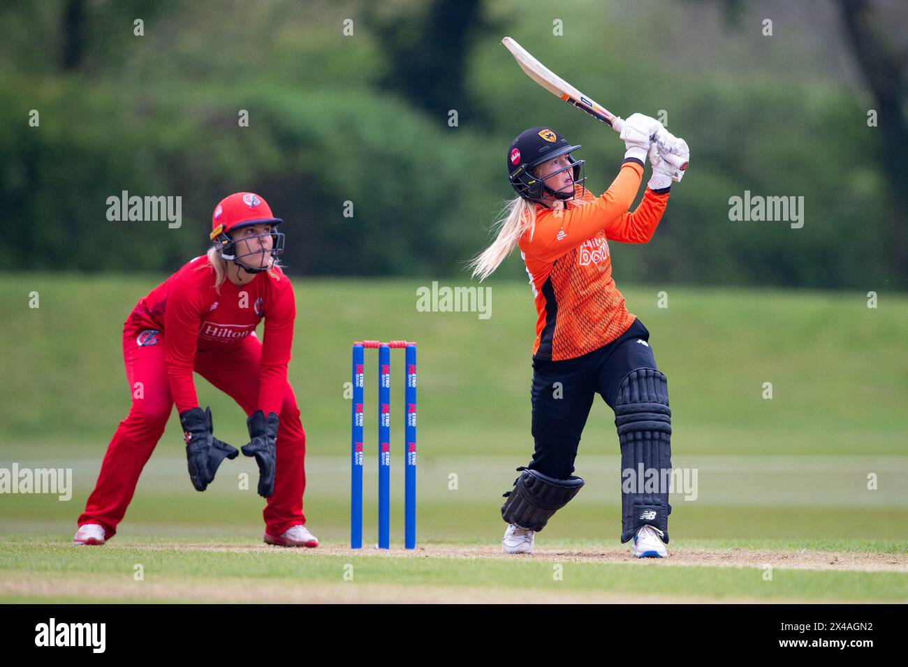 Stokenchurch, Regno Unito, 1 maggio 2024. Alice Monaghan dei Southern Vipers colpisce la palla oltre il confine per 6 corse durante il Rachael Heyhoe Flint Trophy match tra Southern Vipers e Thunder al Wormsley Cricket Ground. Crediti: Dave Vokes/Alamy Live News Foto Stock