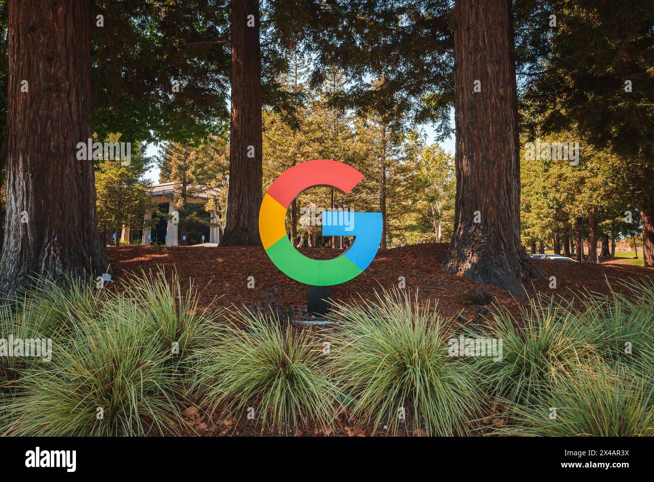 Colorato "G" ispirato a Google tra paesaggio lussureggiante, sfondo ad albero. Foto Stock