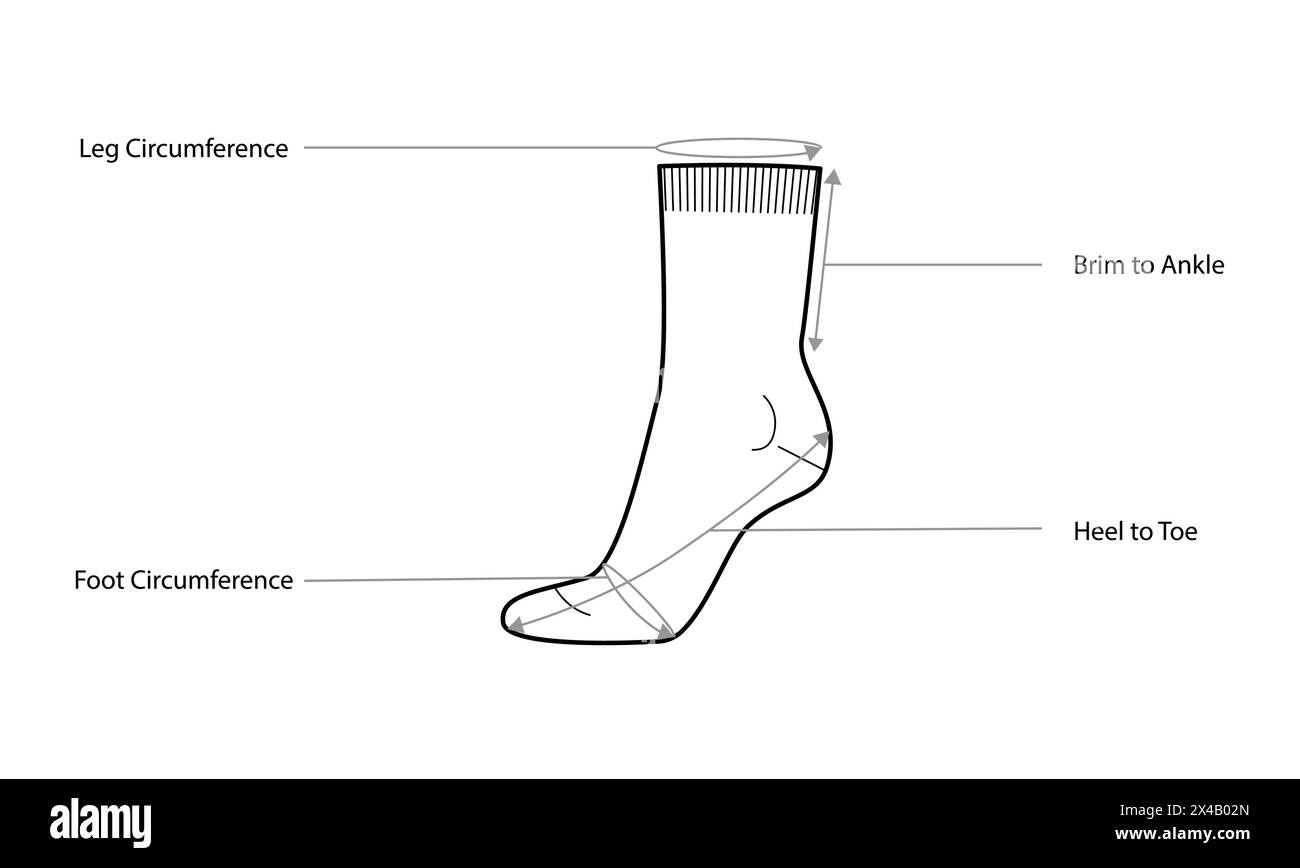 Diagrammi delle misurazioni delle calze con nomi di testo. Calze per accessori moda moda abbigliamento illustrazioni tecniche. Vista frontale vettoriale, vista laterale per uomo, donna, stile unisex, modello piatto schizzo di mockup CAD Illustrazione Vettoriale