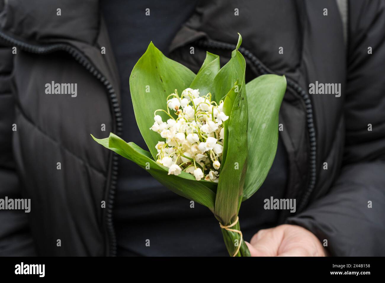 Lily della valle nelle mani di qualcuno. 1 maggio 2024 a Parigi manifestazione contro l'austerità, per posti di lavoro e salari. Francia, Patis il 1° maggio 2024. Fotografia di Patricia Huchot-Boissier / Agence DyF. Foto Stock
