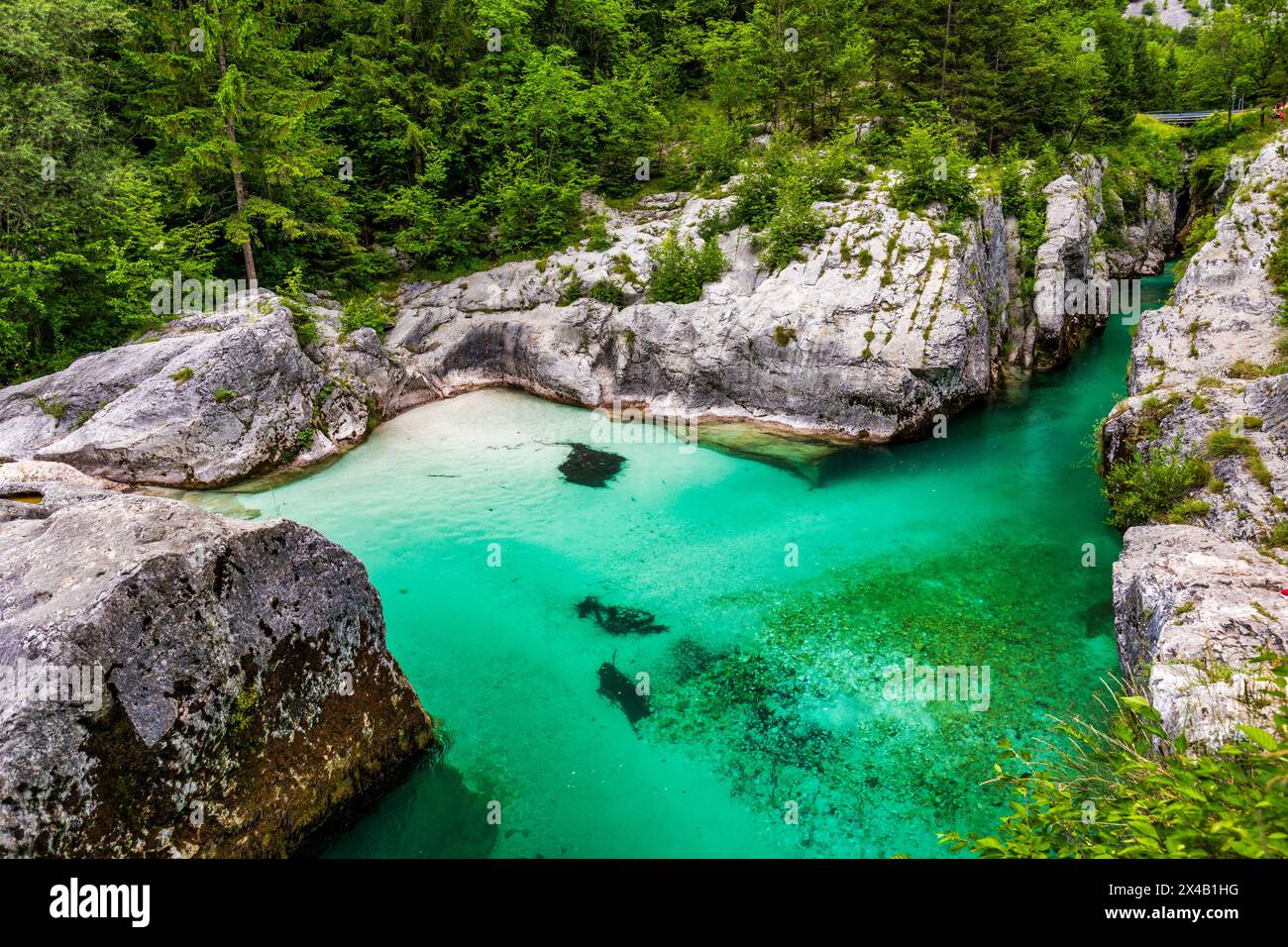 Incredibile gola del fiume Soca nelle Alpi slovene. Grande Gola dei Soci (Velika korita SOCE), Parco Nazionale del Triglav, Slovenia. Grande canyon del fiume Soca, Bovec, Foto Stock