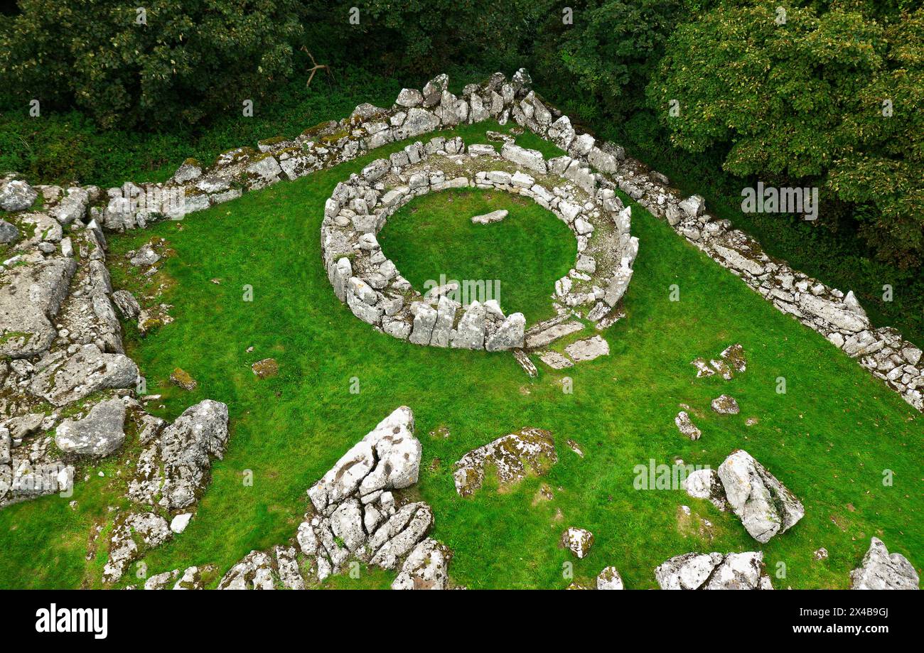 DIN Lligwy, villaggio romano dell'età del ferro celtico vicino a Moelfre, Anglesey, Galles settentrionale, Regno Unito. Una delle fondamenta circolari di capanne in pietra Foto Stock
