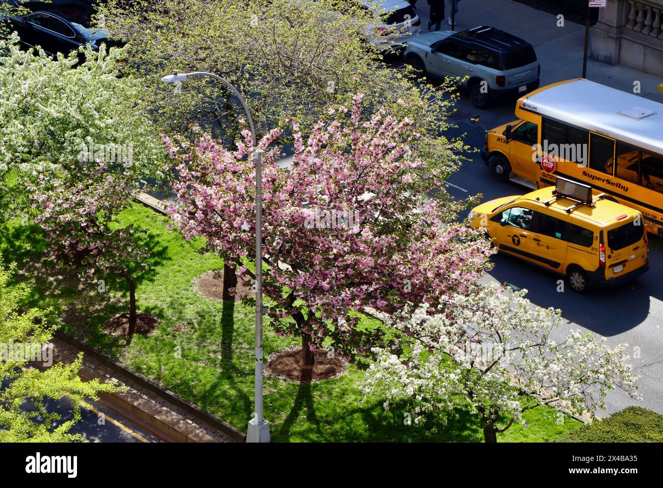 Alberi e verdi nel centro di Park avenue tra la 83esima e la 84esima strada est nella parte superiore est di Manhattan, New York Foto Stock