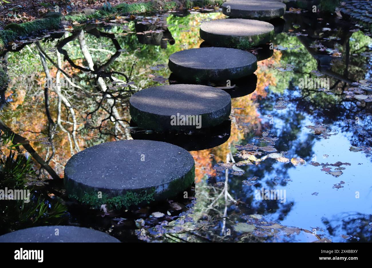 Cerchi di pietra sull'acqua, riflessi di alberi autunnali e cielo blu nell'acqua, splendidi dettagli decorativi del giardino, splendido sfondo Foto Stock