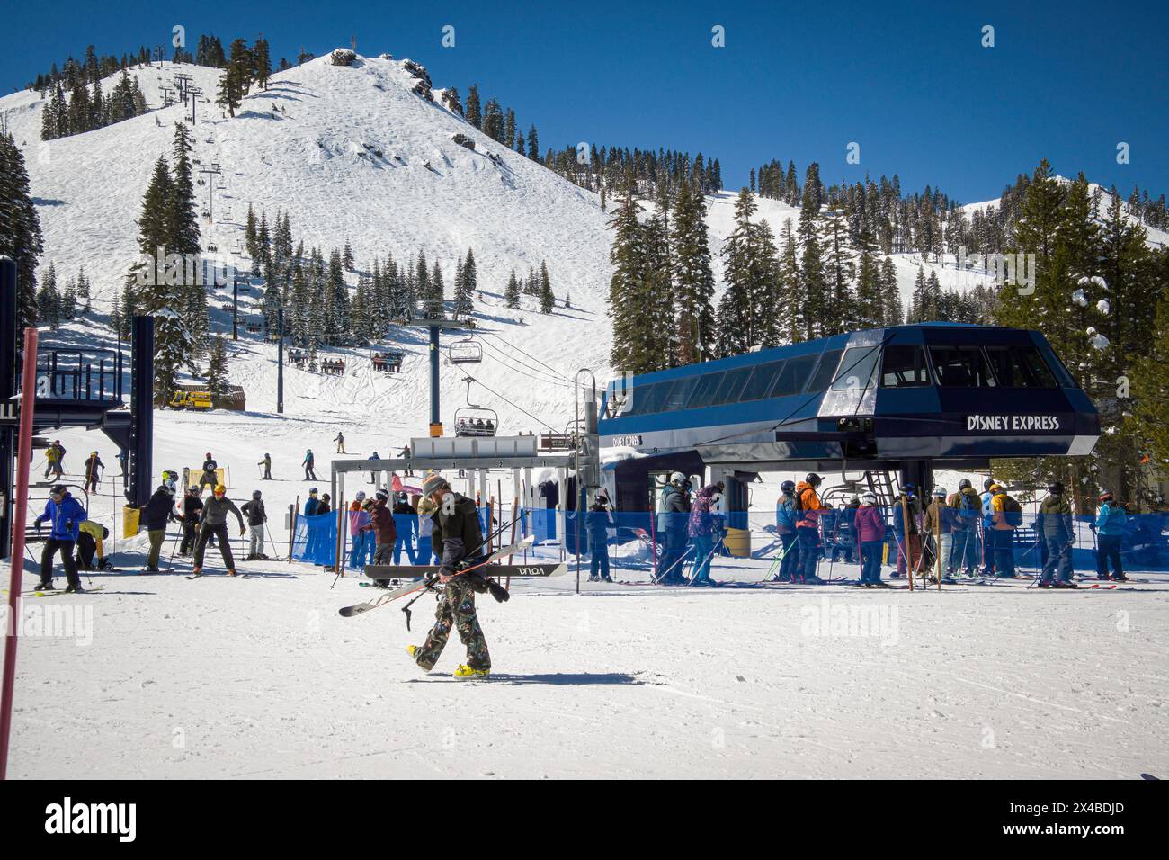 Un uomo cammina con gli sci passando davanti alla seggiovia Disney Express al Sugar Bowl Resort. Foto Stock