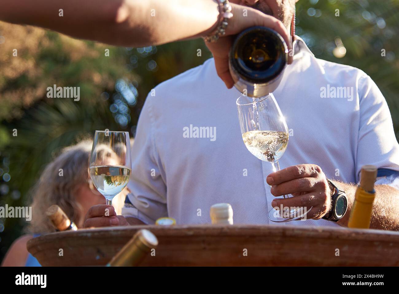 Una persona serve vino bianco frizzante in un bicchiere durante un evento all'aperto. Perfetto per un momento di relax Foto Stock