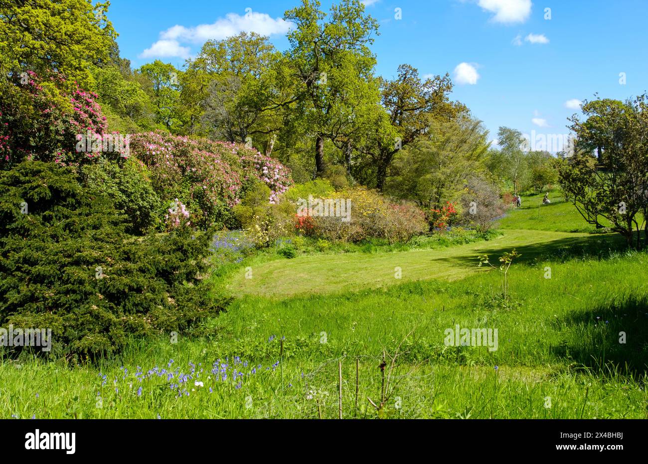 Hole Park Gardens, Kent, Regno Unito Foto Stock