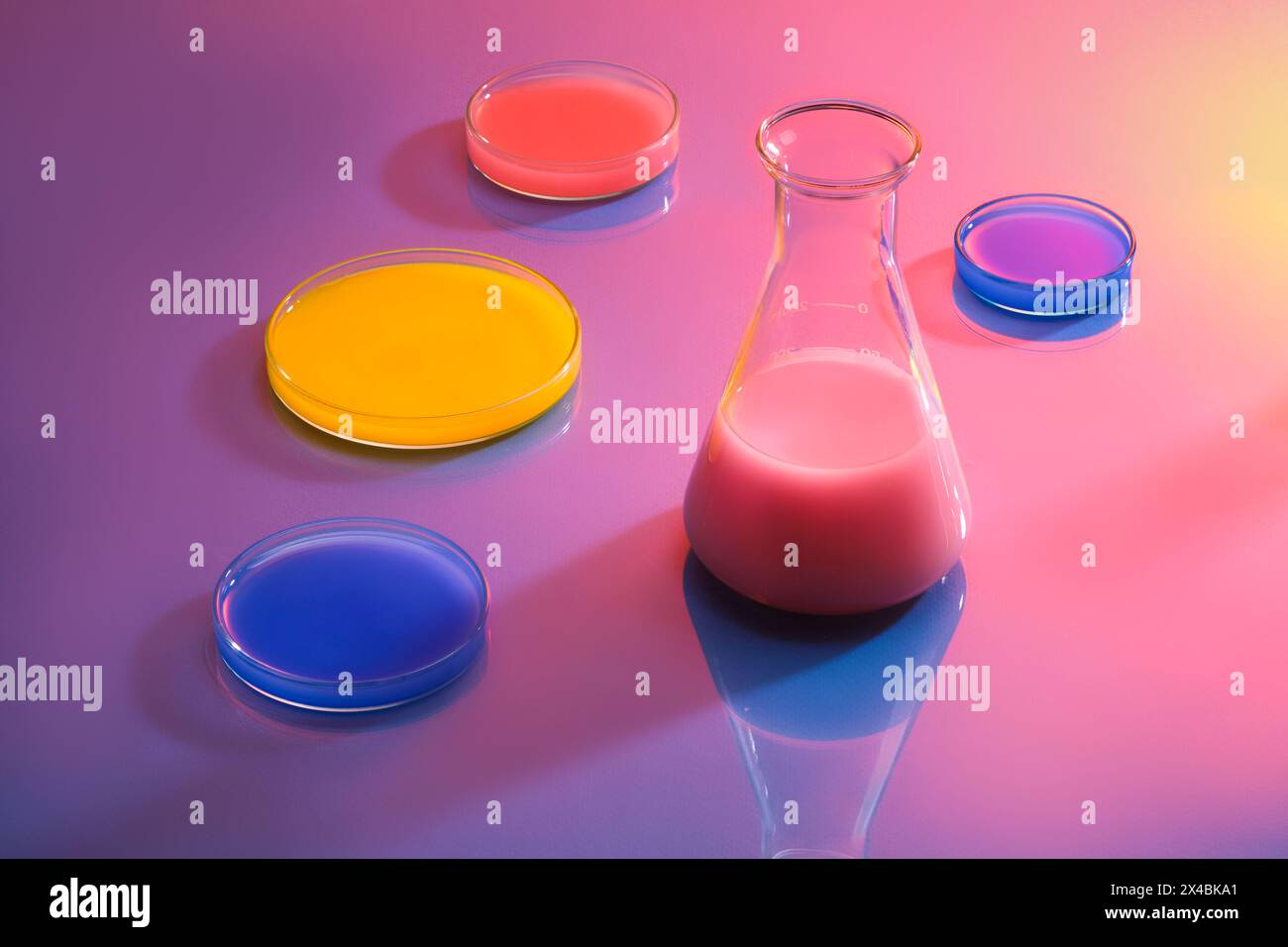Apparecchiature da laboratorio e contenuto scientifico con matraccio di erlenmeyer e piastre Petri decorate su sfondo viola sfumato. Scena minima per la pubblicità Foto Stock