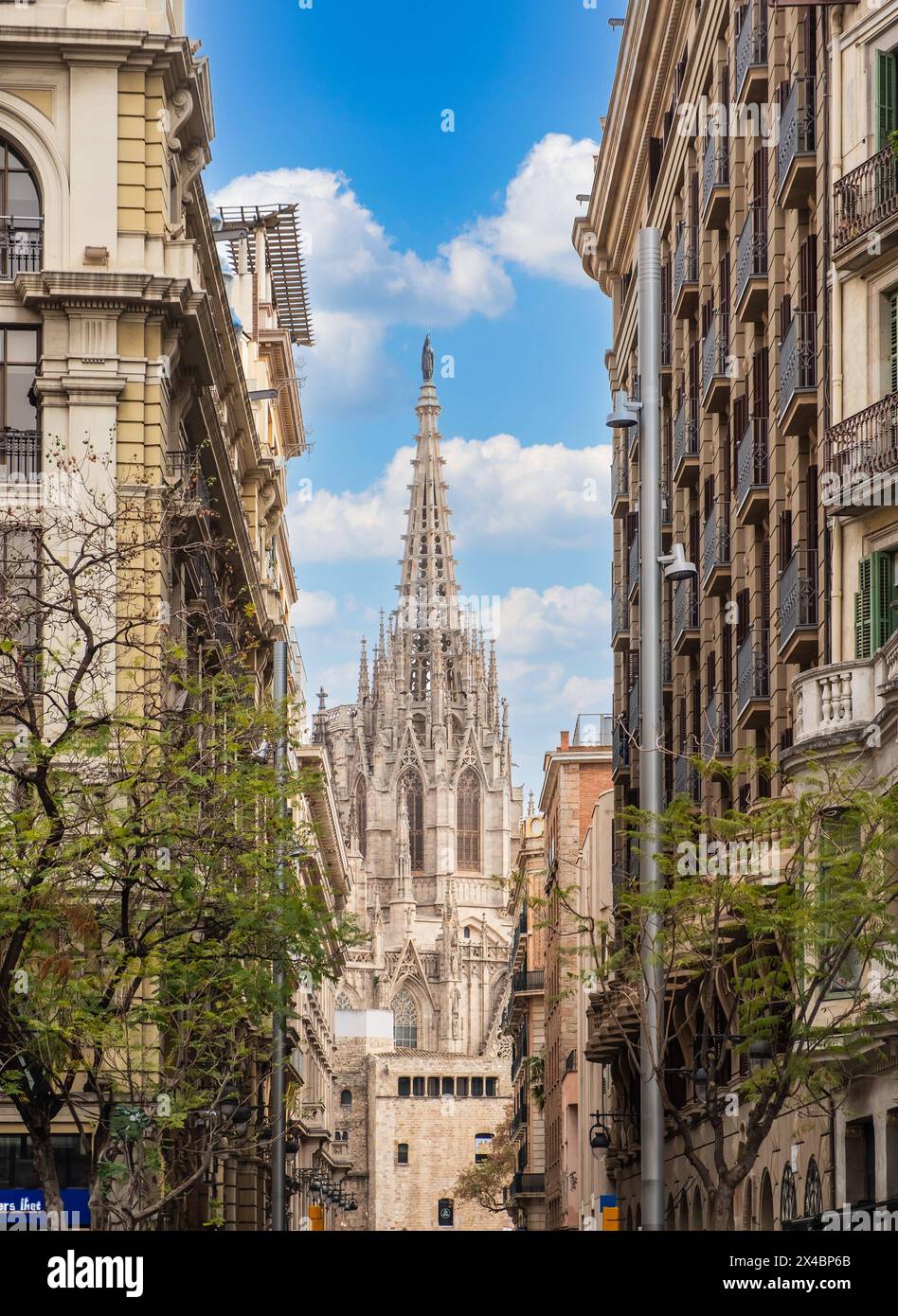 Die Kathedrale von Barcelona, Spanien Barcelona Katalonien Spanien *** la Cattedrale di Barcellona, Spagna Barcellona Catalogna Spagna Foto Stock