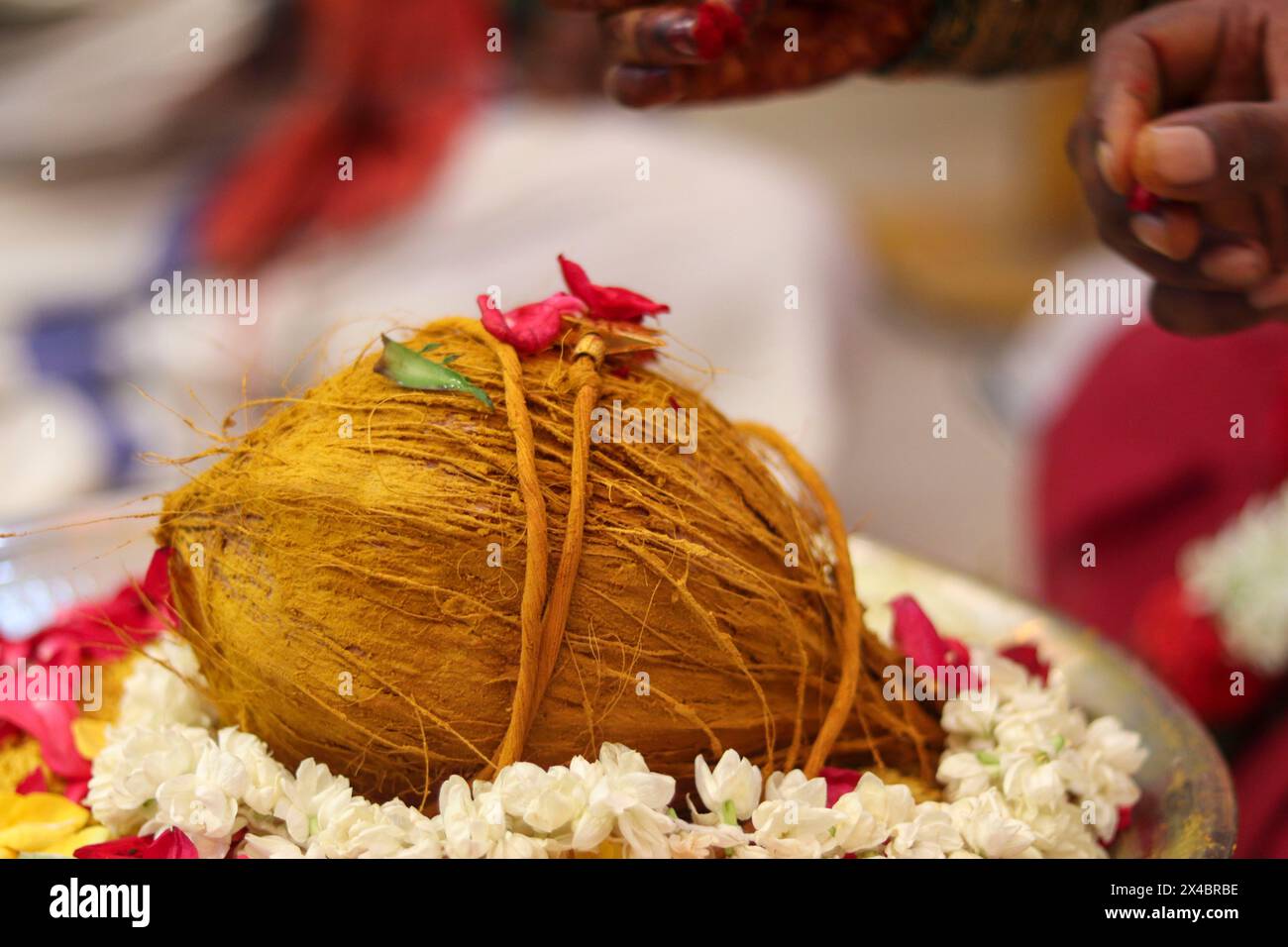 Cerimonia nuziale indiana indù con cocco, fiori colorati con filo giallo Foto Stock