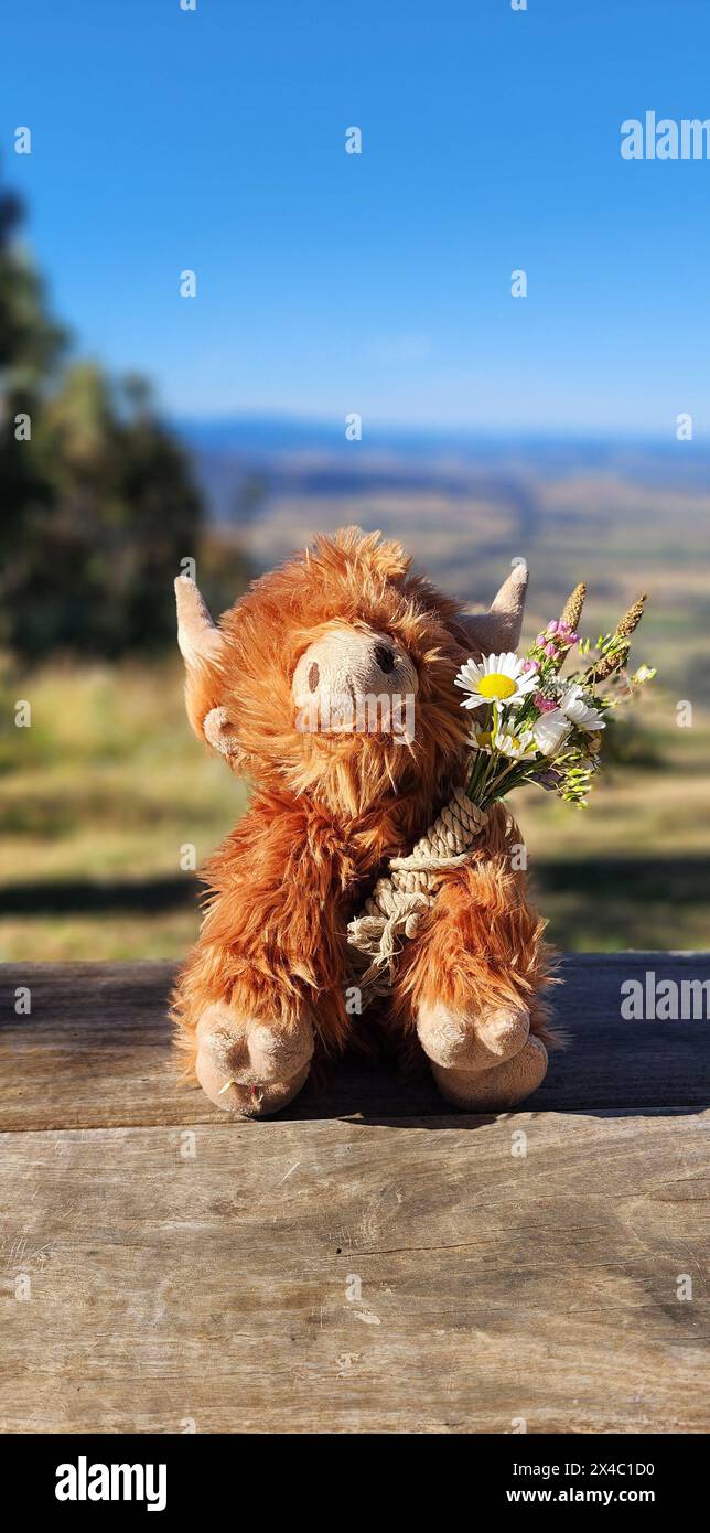 Un bisonte ripieno molto carino, con pelliccia d'arancia, che tiene un ramo o un bouquet di fiori selvatici, margherite, seduti su un tavolo di legno artigianale, con un bellissimo Foto Stock Un bisonte ripieno molto carino, con pelliccia d'arancia, che tiene un ramo o un bouquet di fiori selvatici, margherite, seduti su un tavolo di legno artigianale, con un bellissimo Foto Stock