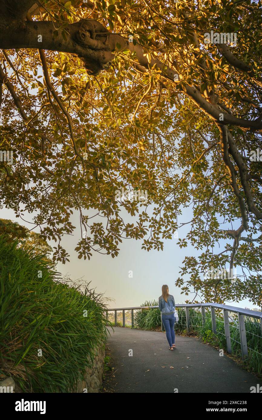 Donna che cammina sotto un bellissimo baldacchino illuminato dal sole su una piccola strada nella città di Sydney, Australia Foto Stock