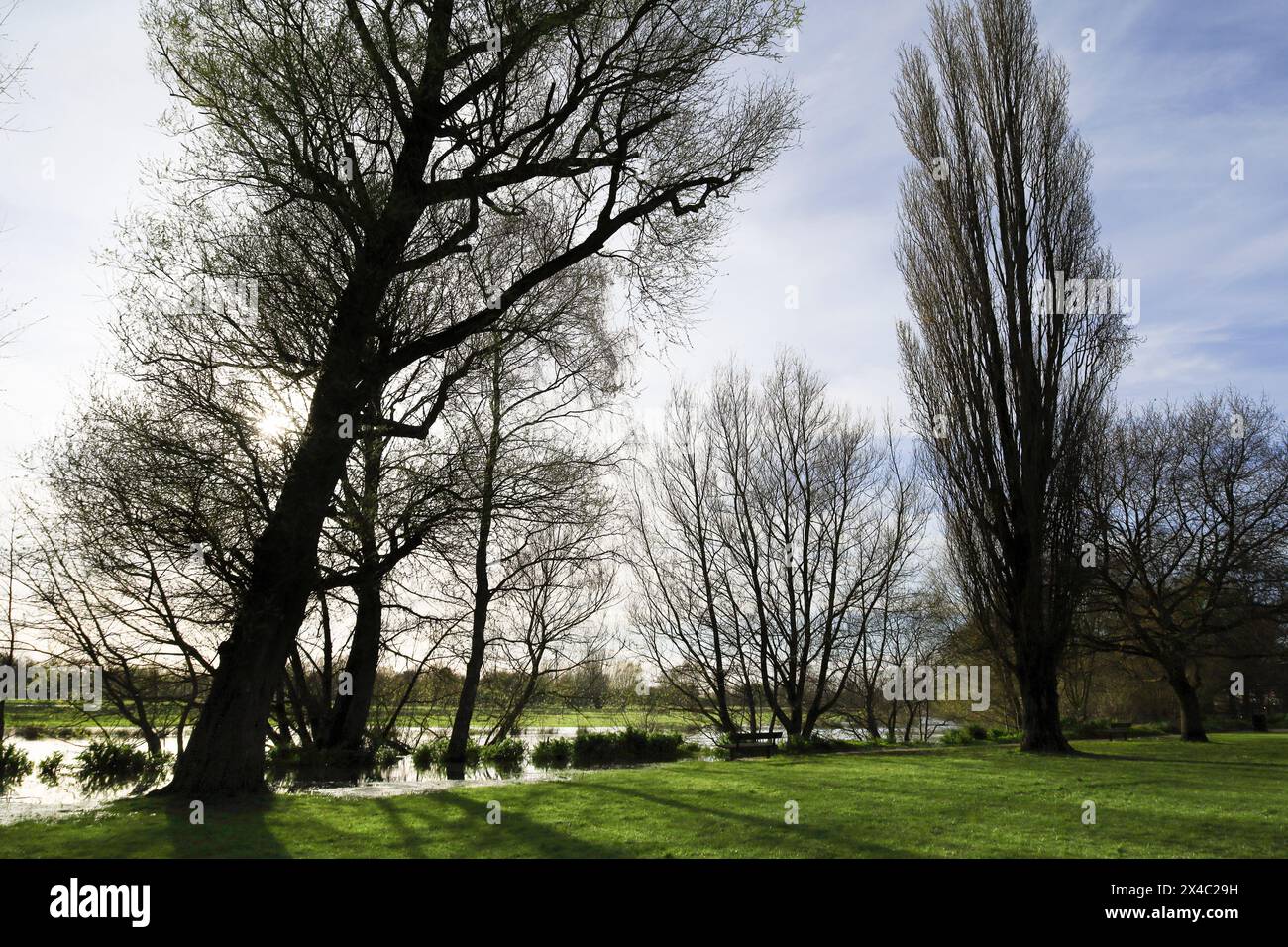 I bellissimi giardini Queen Elizabeth nella città di Salisbury Foto Stock