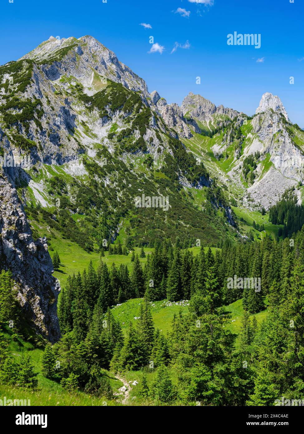 Vista verso il monte Hochplatte e Mt. Geiselstein. Parco naturale delle Alpi Ammergau (Ammergau Alpen) nelle Alpi calcaree settentrionali dell'alta Baviera, Germania. Foto Stock