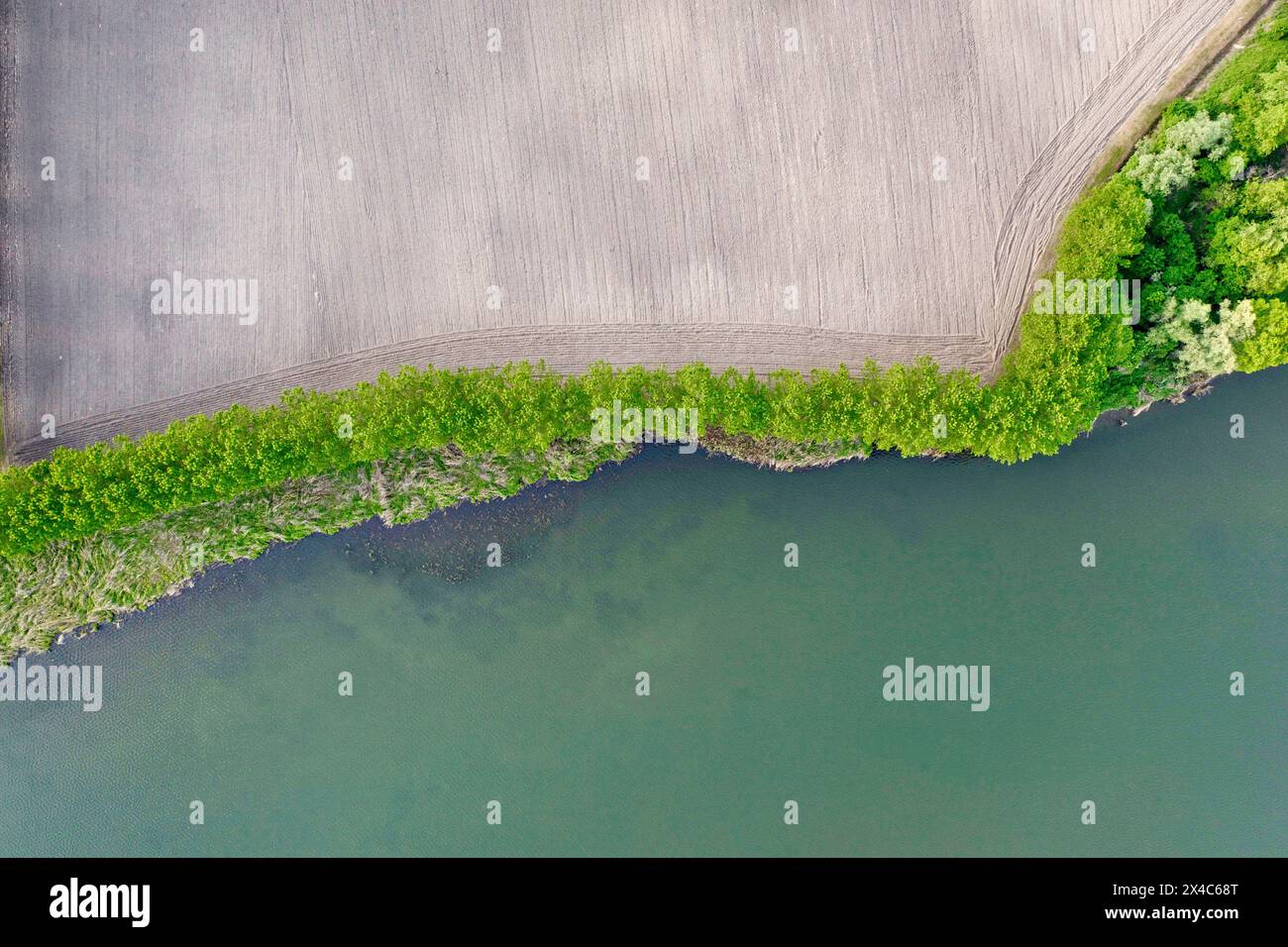 Italia, Mantova. Vista aerea dei campi seminati di recente sulle rive del lago. Foto Stock